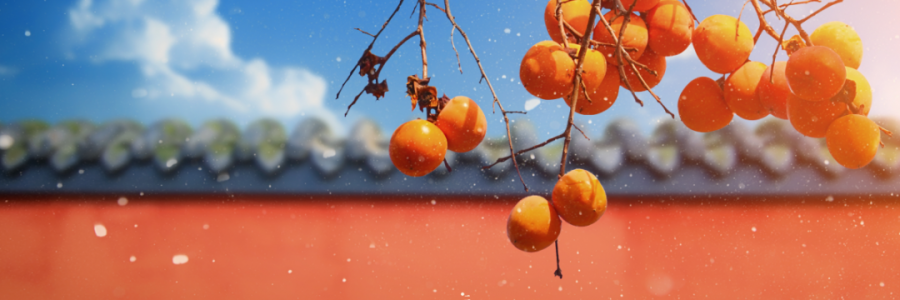 霜降 | 寒霜冬將至，補(bǔ)陽(yáng)須及時(shí)