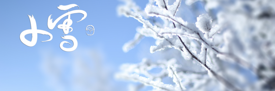 小雪丨雪落天地寒，愿君多珍重