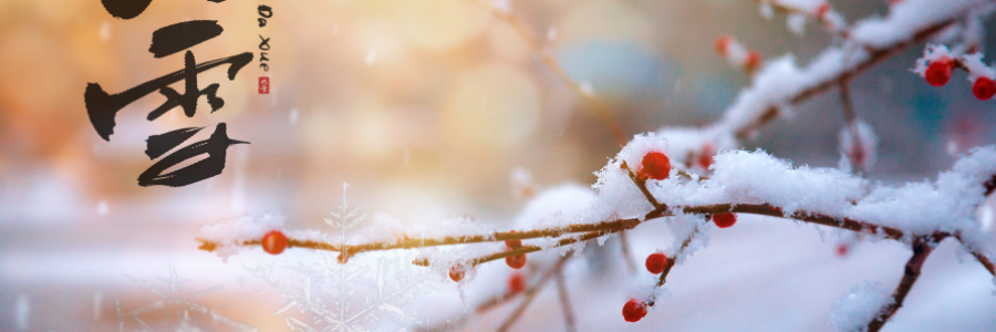 大雪丨 養(yǎng)陰護(hù)陽，君心不忘
