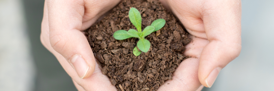 火運(yùn)不及的癸卯年，亟需補(bǔ)火護(hù)陽！