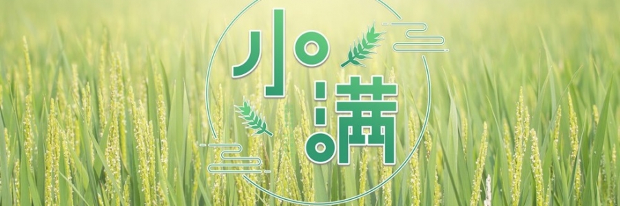 小滿 | 萬物漸豐，小得盈滿