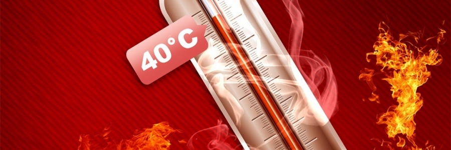 真的會“熱死人”！這個“夏天殺手”要警惕！