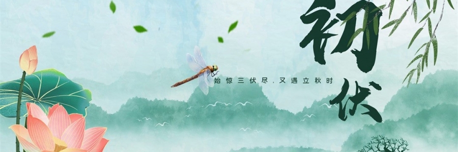 伏氣變福氣，三伏這樣灸，見(jiàn)效快一步！