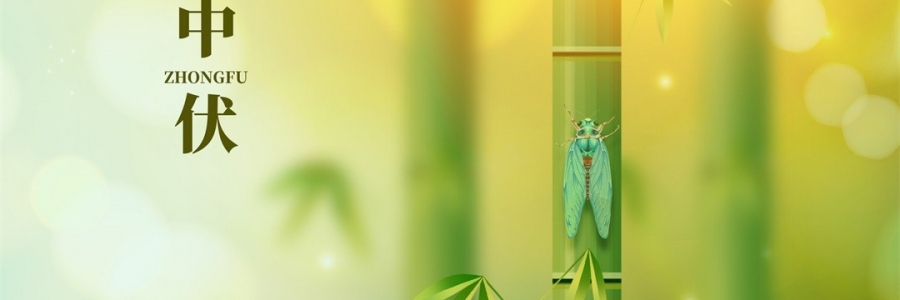 不想越扎越深？ 中伏拔病根，不做病床人！