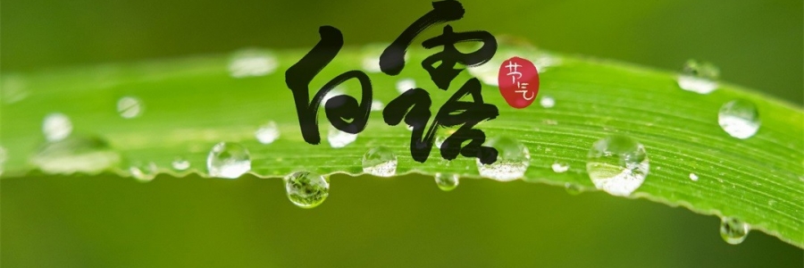 白露 | 天涼身勿露，灸火暖秋色