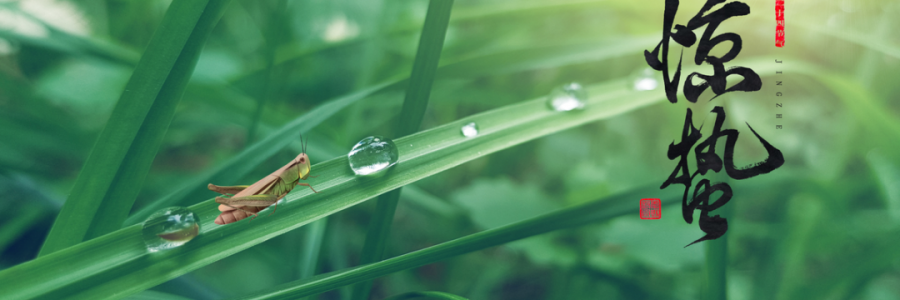 驚蟄丨蓄勢而蟄，應(yīng)時而驚