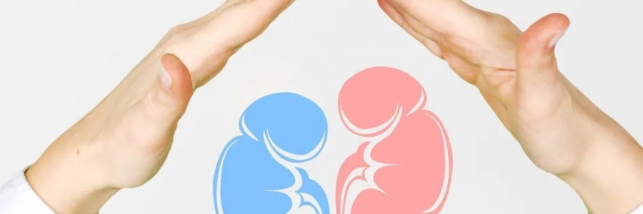 兩個人體的“長壽穴”，每天揉一揉，健康又長壽