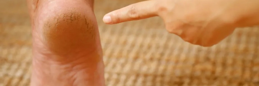 每天跺跺腳，從腳養(yǎng)到頭，越跺越年輕！