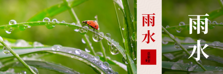 雨水 | 寒濕風(fēng)邪入，艾灸來相助