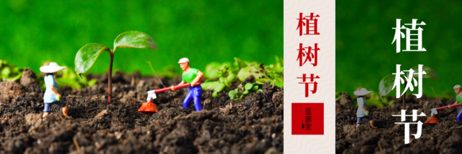 外植綠樹，內(nèi)養(yǎng)肝木，別忘給身體也“種下”護(hù)肝種子！