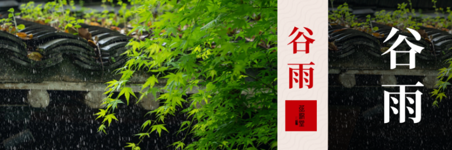 谷雨 | 雨生百谷 祛濕固陽