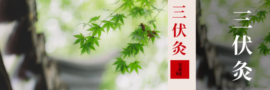 中伏 | 伏藏陽(yáng)，冬不慌！三伏過(guò)半，抓緊養(yǎng)陽(yáng)黃金期