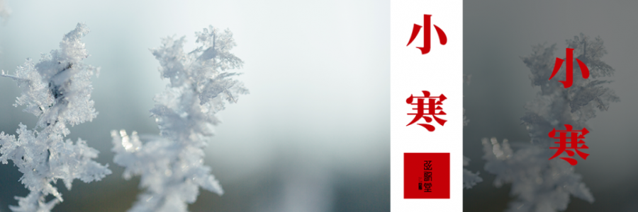 小寒 | 冰封至，寒極陽生